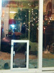 Doggie Door