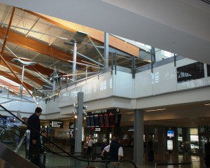 SONY DSC